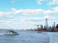 /album/les-bretons-%c3%a0-new-york/p3300111-001-jpg/