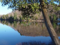 /album/un-petit-coin-de-paradis/p5040851-jpg/