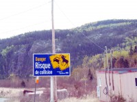 /album/un-week-end-sur-les-bords-du-st-laurent/p5191418-001-jpg/