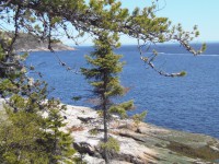 /album/un-week-end-sur-les-bords-du-st-laurent/p5191400-jpg/