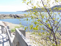 /album/un-week-end-sur-les-bords-du-st-laurent/p5191387-jpg/